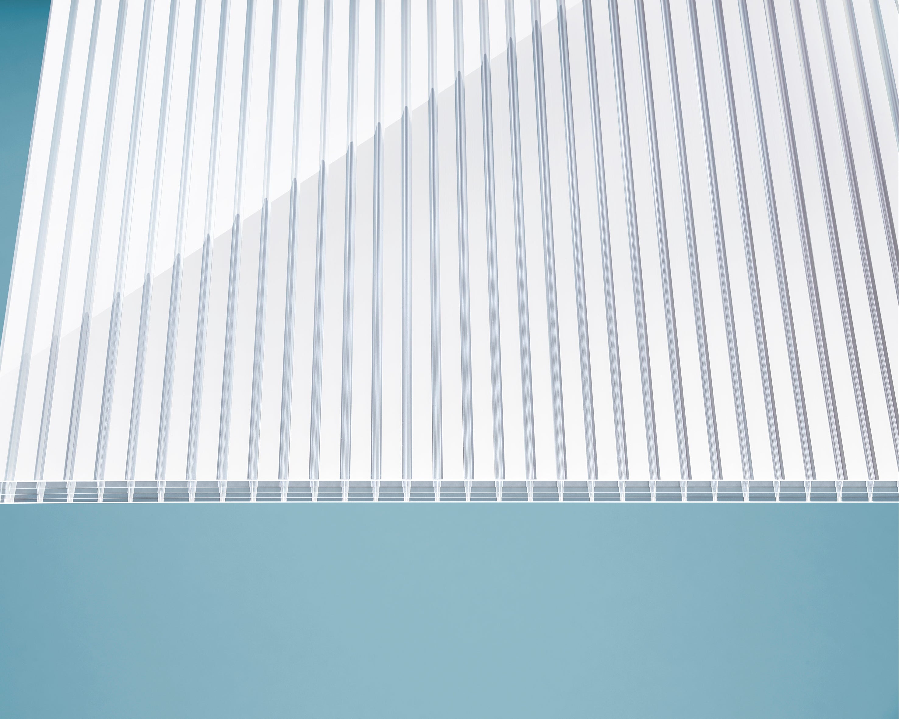 Zebra Stegplatte 16 mm (PC)