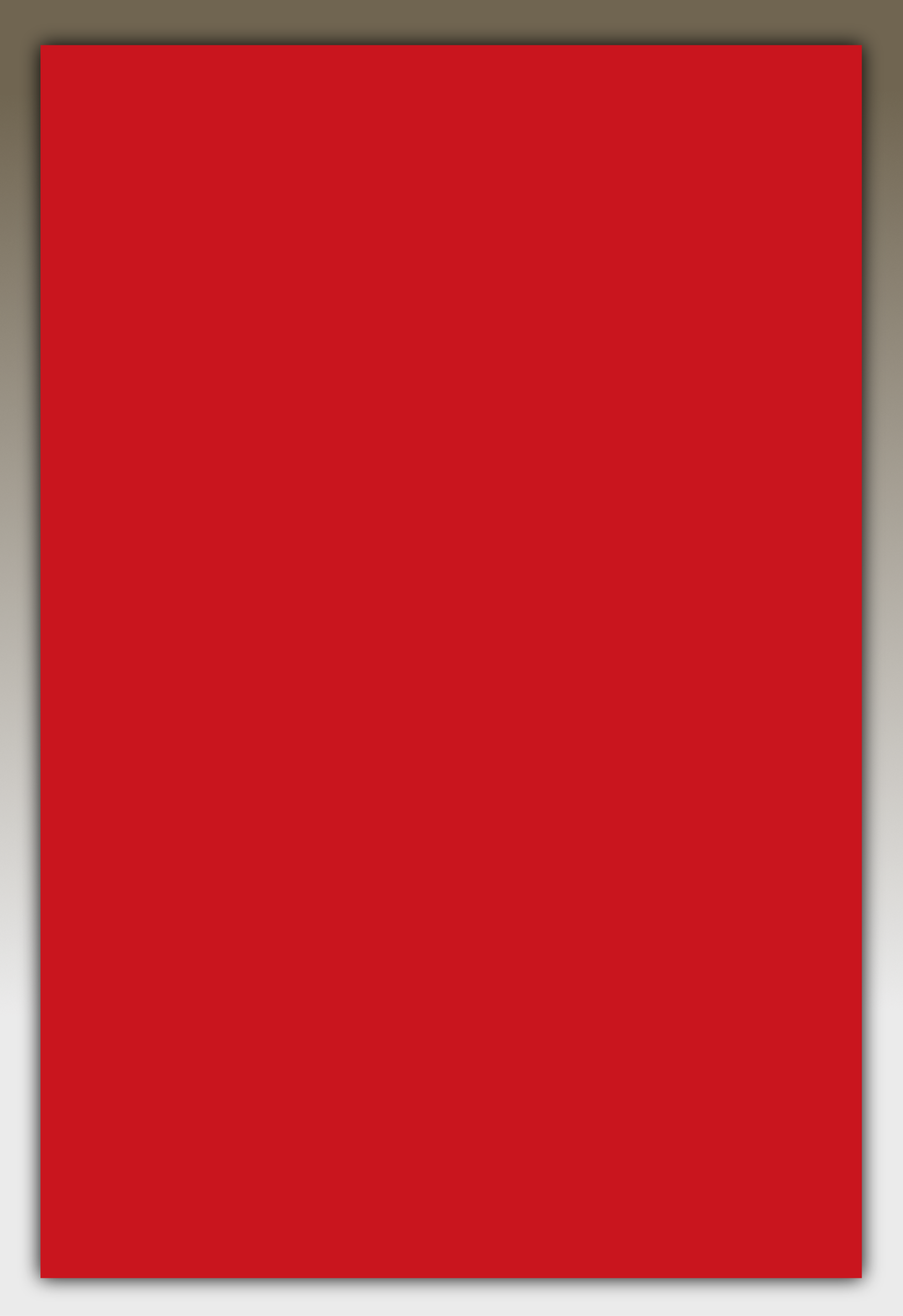 HPL-Fassadenplatte KRONOART® COLOR